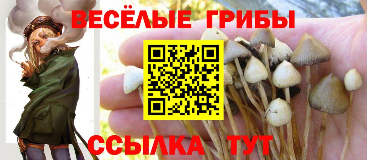Качканар  Галлюциногенные грибы мухоморы  Вход с VPN 