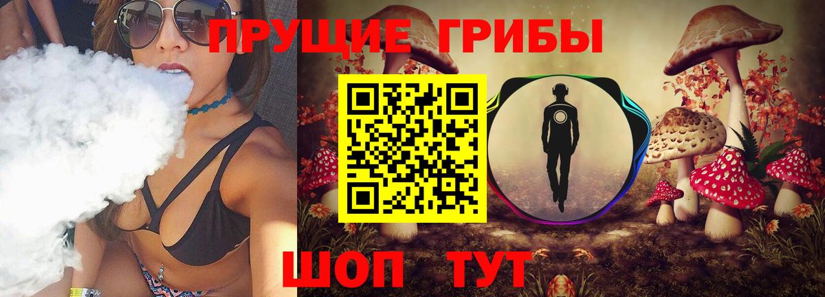 Псилоцибиновые грибы Magic Shrooms Качканар
