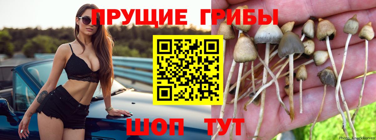 ГАШ  ГАШИШ  Качканар  Вход с VPN  Меф   Марихуана 
